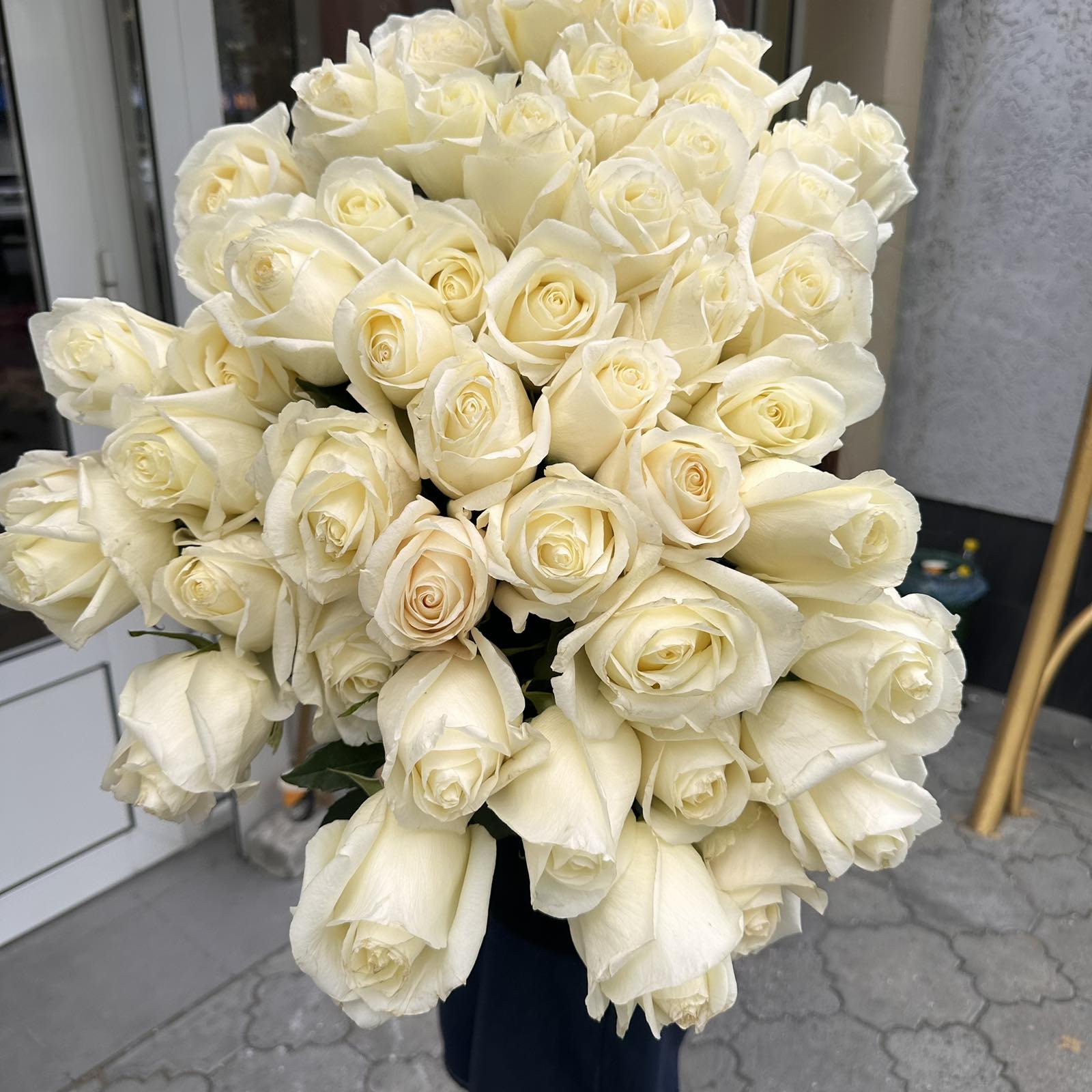 Троянда White Chocolate 90 см