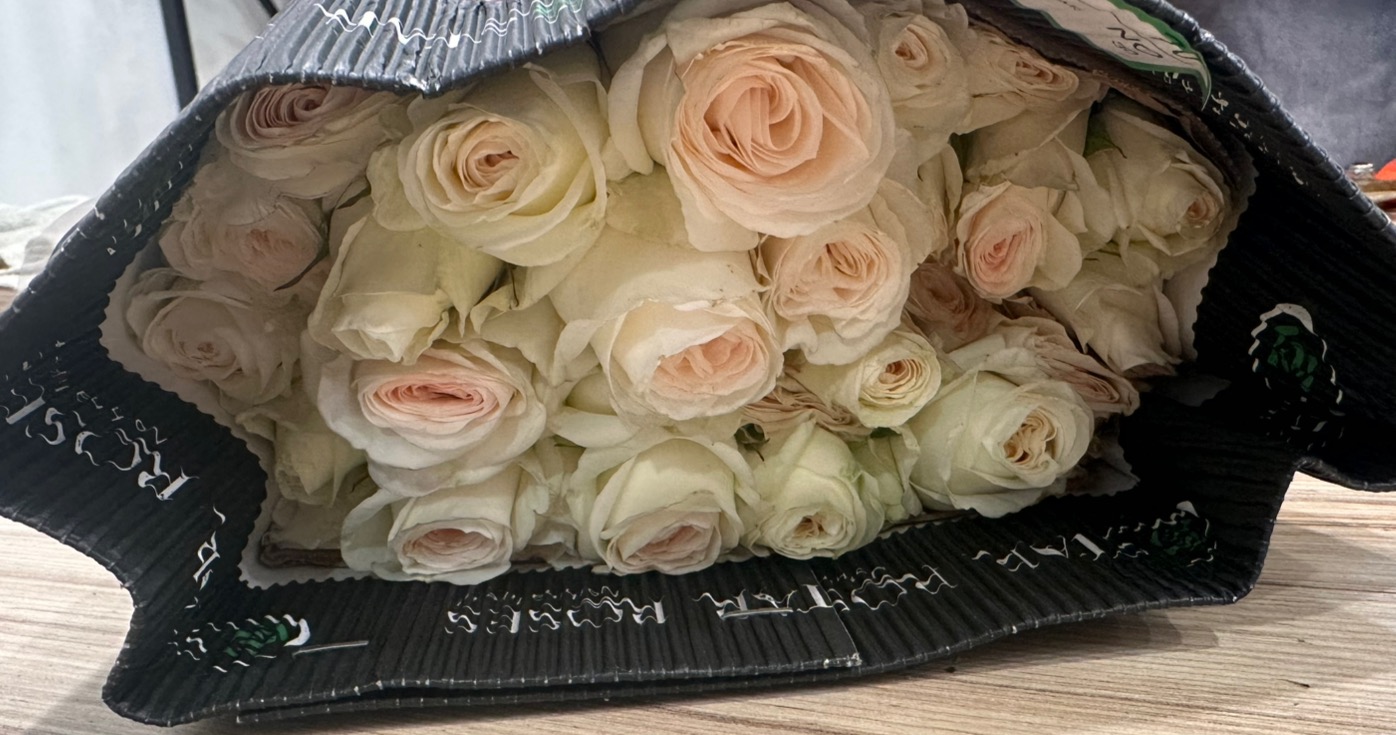 Троянда Sp Wedding Blossoms 70 см